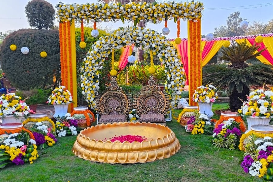 Haldi 6